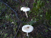 IMGP0028.jpg
