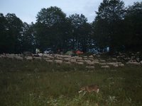 13 Στην κατασκήνωση με βροχή. .JPG