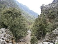 21. Η συνέχεια του μονοπατιου προς Ελυγιά.JPG