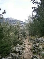 24. Εξόδος του μονοπατιού κατα την επιστροφή.JPG