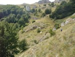 15-Μετά την κόψη στρίβουμε αριστερά σε ξέφωτο κάτω από τα λούκια για να μπούμε πάλι στο δάσος.JPG