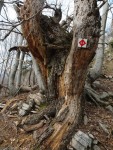 10-Το μονοπάτι είναι τμήμα του εθνικού μονοπατιού 04.jpg