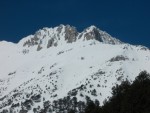 ΜΥΤΙΚΑΣ ΚΑΙ ΣΤΕΦΑΝΙ ΑΠΟ ΤΟ ΠΡΩΤΟ ΓΟΜΑΡΟΣΤΑΛΟ.jpg