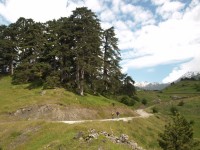 5 Η κοιλάδα Κιάτρα Ντισικάτα..JPG