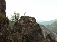 11 Η οικογένεια Αράχνη.JPG