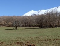 DSC00571.JPG