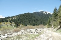 DSC00274.JPG