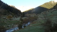DSC00241.JPG