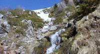 DSC00260.JPG