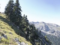 moshofito_xirovouni_10.2012_31.jpg