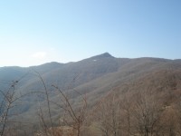 DSC03170.JPG