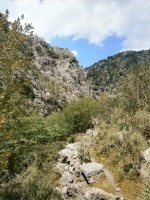 το μονοπάτι μακρυά απο την κοίτη....jpg