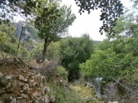 και πάλι πίσω στο καλντερίμι ...jpg