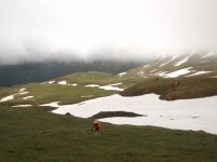 4 Αρχίσανε τα ζόρια..JPG