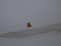 11 Με περιμένει στην γωνία..JPG