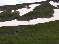 14 Η τελευταία και φαρμακερή χιονούρα..JPG