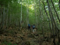 8 Στο μονοπάτι για «Φλέγγα»..JPG