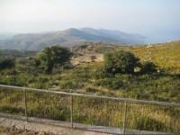IMG_1993.jpg