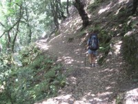 IMG_2091.jpg