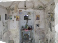 IMG_3611.jpg