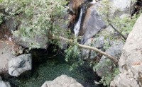 DSC01252.JPG