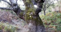 DSC01263.JPG