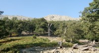 DSC01268.JPG
