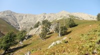 DSC01280.JPG