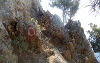 DSC01374.JPG