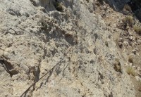 DSC01379.JPG