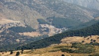 DSC00256.JPG