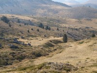 9 Άγρια άλογα βόσκουν στην ρεματιά της «Γραμμένης Πέτρας»..JPG