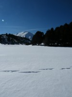 ΠΟΥ ΕΙΝΑΙ.jpg