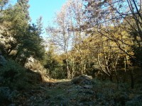 1.Στην κοίτη.JPG