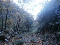 2.αφήνωντας την ρεματιά.JPG