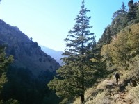 6.Εμφανές μονοπάτι  στο μεγαλύτερο μέρος.JPG