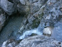 14.Λιγοστό νερό, σημάδι μιας ακόμα άνυδρυς χρονιάς.JPG