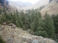 21.Το φαράγγι ανοίγει πλησιάζωντας στο χωριό.JPG