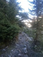 24. Αμιαντοσωλήνες διάσπαρτοι.JPG