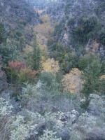 25. Η αρχική ρεματιά στους Λάκκους απο άλλη γωνία.JPG