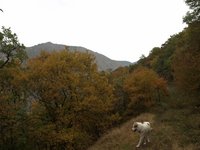5  Στον Ε4 Ο ντόπιος συνοδός μας..JPG