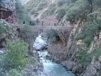 που είναι.JPG