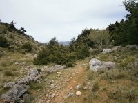 1.Η αρχή της  διαδρομής απο Σεληνιώτικο γύρο.JPG