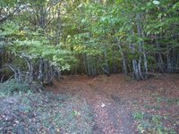 3 PA201055.JPG