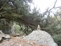 11.Μόνο κούκοι για σήμανση.JPG