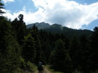 ΣΤΟ ΔΡΟΜΟ ΓΙΑ ΤΟ ΜΟΝΟΠΑΤΙ.jpg