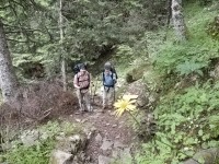 ΗΛΙΑΣ ΚΑΙ ΚΡΙΣ ΣΤΟ ΜΟΝΟΠΑΤΙ ΓΙΑ ΚΟΝΤΙΒΑ.jpg