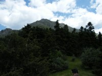 Η ΡΑΧΗ ΑΠΟ ΤΟΝ ΩΜΟ ΤΟΥ ΠΥΡΓΟΥ.jpg