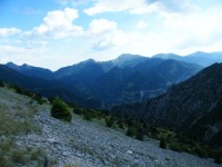 Η ΤΡΙΑΝΤΑΦΥΛΙΑ ΑΠΟ ΤΗ ΣΑΡΑ.jpg