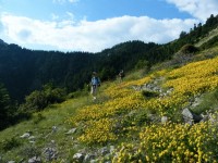 ΚΡΙΣ ΚΑΙ ΗΛΙΑΣ ΚΑΤΕΒΑΙΝΟΥΝ.jpg